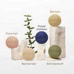 Arista Anti-Dandruff Shampoo Bar | Sulfate-Free, with Leaf Powder, Arnica & Tea Tree | Vegan Solid Shampoo Bar