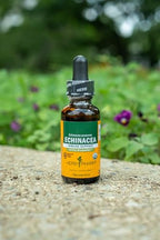 Herb Pharm Certified Organic Echinacea Root Liquid Extract for Immune System Support, Organic Cane Alcohol, 4 Ounce