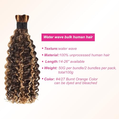 Boho Braids Human Hair Knotless Human Braiding Hair 18 Inch Water Wave Bulk Human Hair for Braiding Wet and Wavy No Weft 2 Bundles Human Hair Extensions (Water wave (4/27#) 18 Inch)