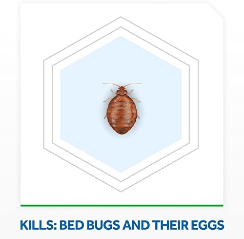 Raid Bed Bug Foaming Spray, Kills Bed Bugs and Their Eggs, for Indoor Use, Non-Staining, Keeps Killing for Weeks, 16.5 oz (Pack of 1)