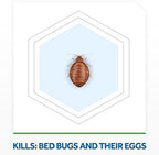 Raid Bed Bug Foaming Spray, Kills Bed Bugs and Their Eggs, for Indoor Use, Non-Staining, Keeps Killing for Weeks, 16.5 oz (Pack of 1)