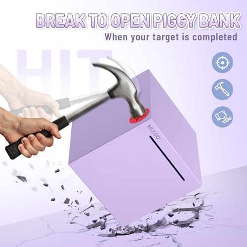 hizgo Adults Purple Piggy Bank, Stainless Steel Piggy Bank for Adults/Kids Must Break to Open, Unopenable Money Saving Box(4.72-inch, Purple)