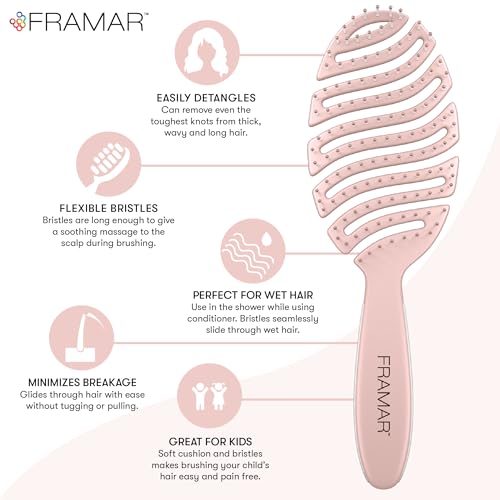 FRAMAR Vented Hair Brush For Thick Hair,Wet Hair Brushes For Women, Flex Wet Hair Brush Detangler, Hairbrush For Women, Hair Brush For Blow Drying