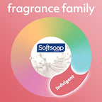 Softsoap Body Wash Pump, Buttery Shea & Almond Oil Body Wash, Moisturizing Body Wash, 32 Ounce, 3 Pack