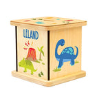 Wooden Piggy Bank for Kids and Adults, Personalized Gift Handmade in USA by BloomOwl, Custom Piggy Bank, Personalized Banks for Kids, Gifts for Baby Boys and Girls (Dinosaur- Fun)