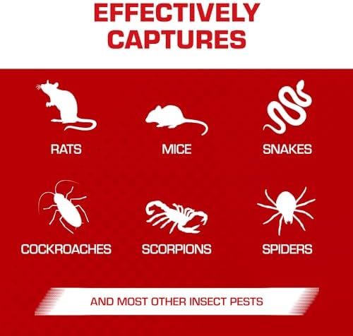 Tomcat Rat Trap with Immediate Grip Glue for Rats, Mice, Snakes, Cockroaches, Spiders, and Scorpions, Ready-To-Use, 2 Traps