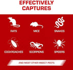 Tomcat Rat Trap with Immediate Grip Glue for Rats, Mice, Snakes, Cockroaches, Spiders, and Scorpions, Ready-To-Use, 2 Traps