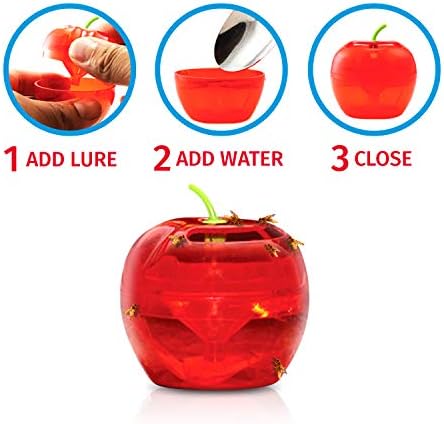 Fruit Fly Traps for Indoors by Raid | 2 Lures + 2 Refills | Effective Fruit Fly Trap for Indoor Use | Fruit Fly Killer & Gnat Traps for House Indoor | Easy to Use & Safe Food-Based Lure Fly Catcher