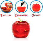 Fruit Fly Traps for Indoors by Raid | 2 Lures + 2 Refills | Effective Fruit Fly Trap for Indoor Use | Fruit Fly Killer & Gnat Traps for House Indoor | Easy to Use & Safe Food-Based Lure Fly Catcher