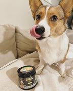 Googipet Dog Allergy Chews, Dog Allergy Relief & Itchy Skin Relief, Skin & Coat Supplement +Bee Pollen, Colostrum for Dogs, Coconut Oil, Probiotics, & Omega 3 Fish Oil to Reduce Constant Scratching