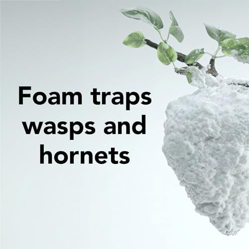 Raid Max Foaming Wasp & Hornet Killer, Fast Coverage Foam, Bug Killer Kills The Entire Nest, 16.5 oz