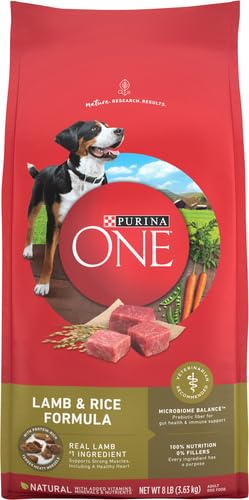 Purina ONE Lamb and Rice Dry Dog Food, 8 lb Bag