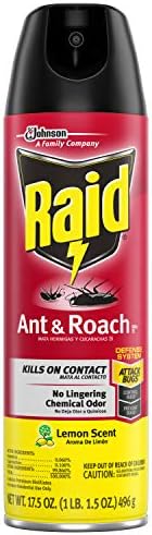 Raid Ant & Roach Killer Lemon Scent, 17.5 OZ (6)
