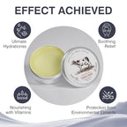 Beef Tallow, Beef Tallow for Skin, Beef Tallow for Face, Grass Fed Beef Tallow, Organic Beef Tallow Balm Face Moisturizer for All Purpose Balm, Natural Beef Tallow Lotion for Skin Care 2 Packs