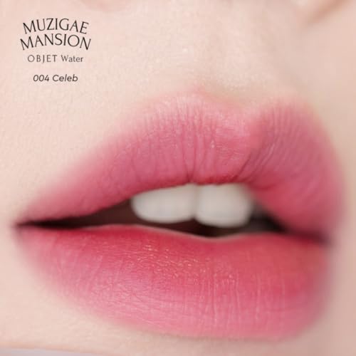 Objet Water Lip Stain Matte Lipstick – (Watery to Blurry Tint), Long-Lasting, Hydrating, Waterproof Wear – K-Beauty Liquid Lipstick for Women, Bold Red Tinted Gloss (004 CELEB)