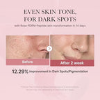 Medicube PDRN Pink Peptide Toner I Pink Glow Toner for Skin Boosting, Soothing and Calming, Uneven Skin Tone, Rose PDRN & Peptide & Niacinamide, Korean Skin Care (250ml / 8.45 fl. oz.)
