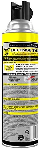 Raid Wasp and Hornet Killer, 17.5 OZ (Pack of 3)