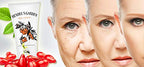 GOJI BERRY REVITALIZING MOISTURIZING ANTI AGE ANTI WRINKLE CREAM HENDELS GARDEN (10X50ML)