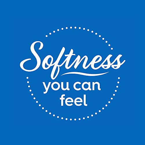 Scotties Everyday Comfort Facial Tissues, 64 Tissues per Box, 6 Pack