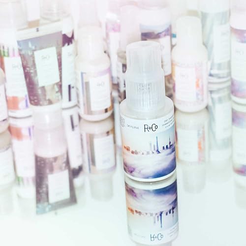 R+Co Skyline Dry Shampoo Powder | Intense Oil Absorption | Revives Volume, Hair Texture and Grip | TSA Approved | 1 Fl Oz