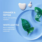 LANEIGE Cream Skin Refillable Toner & Moisturizer with Ceramides and Peptides: Korean Milky Toner, Amino Acid, Nourish, Hydrate, Barrier-Boosting, Visibly Firm