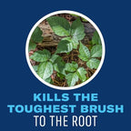 BioAdvanced Extended Control Brush Killer, Ready-to-Use 1.3 Gallon