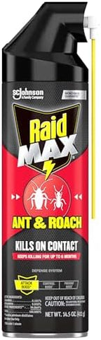 Raid Max Ant and Roach Spray (14.5 OZ,Pack - 1)
