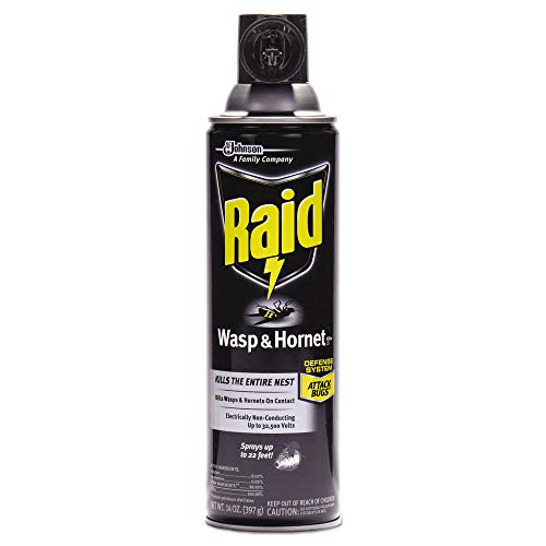 Raid Wasp and Hornet Killer Spray, Kills the entire nest, Kills Paper Wasps, Yellow Jackets, Mud Daubers and more, 14 oz (Pack of 12)