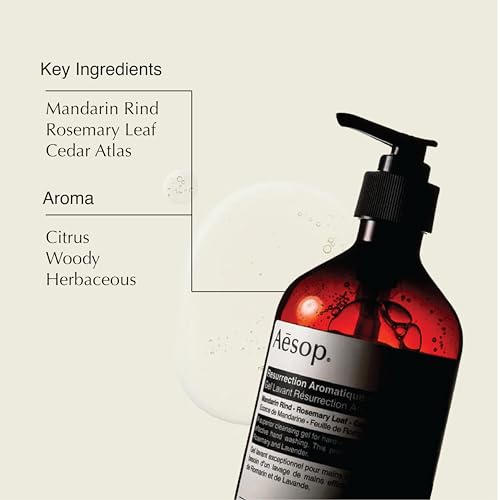 Aesop Reverence and Resurrection Aromatique Hand Wash Set | Gently Cleanses, Exfoliates, and Leaves Hands Smooth, Purified, and Refreshed | 16.9 Oz