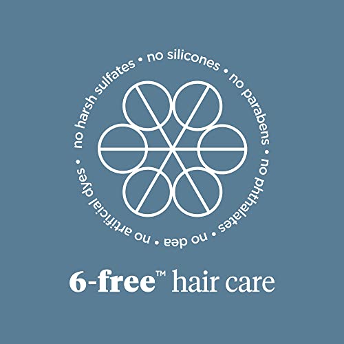 Briogeo Scalp Revival Charcoal + Tea Tree Scalp Treatment, Scalp Serum to Soothe a Dry, Flaky, Itchy Scalp, Absorb Oil, Hydrate Dry Scalp, Clarify Build Up, Vegan, Cruelty-Free, 1 fl oz
