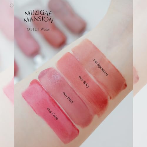 Objet Water Lip Stain Matte Lipstick – (Watery to Blurry Tint), Long-Lasting, Hydrating, Waterproof Wear – K-Beauty Liquid Lipstick for Women, Bold Red Tinted Gloss (01 SIGNATURE)