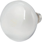 2pk 65w Reflector Flood