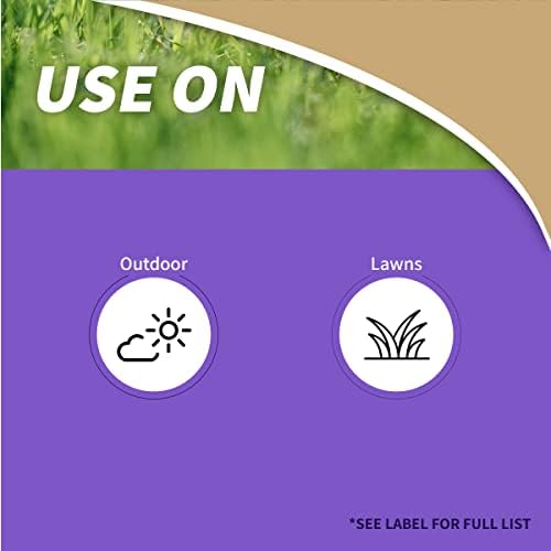 Bonide Captain Jack's Lawnweed Brew, 32 oz Ready-to-Spray, Fast-Acting Formula Controls Weeds, Moss, Algae, Lichens & Disease
