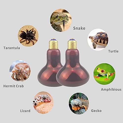 2 Pack Heat Lamp Bulb R95 75 Watt Red Infrared Glass Lamp Bulb for Food Service, Brooder Bulb, Chicks, Pet, Bathroom, Light Therapy, Reptiles and Amphibian
