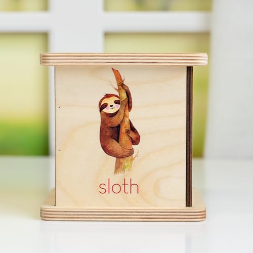 Wooden Piggy Bank for Kids and Adults, Personalized Gift Handmade in USA by BloomOwl, Custom Piggy Bank, Personalized Banks for Kids, Gifts for Baby Boys and Girls (Safari)