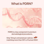 PDRN Cream with Salmon DNA, Ceramide NP, Collagen, Plant Based Bakuchiol, Moisturizing Bifida and Hyaluronic, Korean Skin Care PDRN Cream, 50 ml (1.69 fl. oz.)