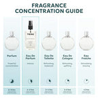 TWINS Impression of Cherry in the Air | Perfume for Women Eau de Parfum | No.11144 | 3.4 Fl Oz / 100 ml