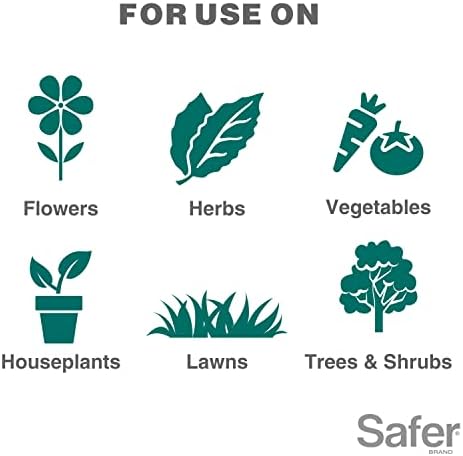Safer Brand 5182-6 Neem Oil Concentrate Insecticide, Miticide, Fungicide for Plants - Kills Insects and Mites and Controls Fungal Disease - OMRI Listed for Organic Use