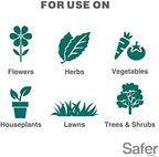Safer Brand 5182-6 Neem Oil Concentrate Insecticide, Miticide, Fungicide for Plants - Kills Insects and Mites and Controls Fungal Disease - OMRI Listed for Organic Use