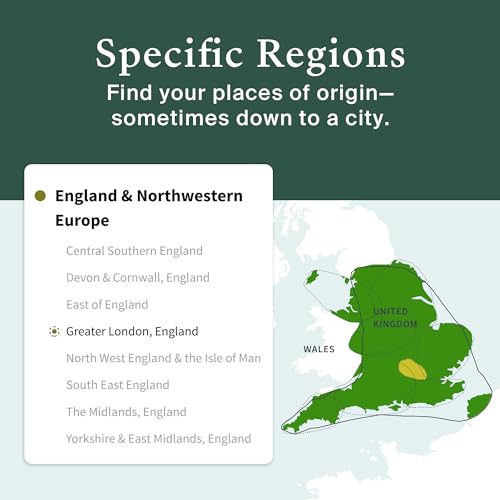AncestryDNA Genetic Test Kit: Personalized Genetic Results, DNA Ethnicity Test, Origins & Ethnicities, Complete DNA Test