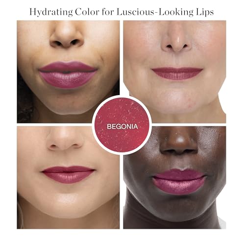 Ogee Tinted Sculpted Lip Oil - Lip Stain Made with 100% Organic Coconut Oil, Jojoba Oil, and Vitamin E - Best as Lip Balm, Lip Color or Lip Treatment - BEGONIA