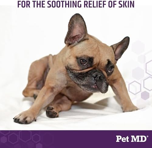 Pet MD All-in-One Derm Care - Hypochlorous Acid Spray for Dogs & All Pets - Skin Soother for Dogs & Wound Spray for Dogs - Cat Wound Care, Dog Hot Spot Remedy, & Dog Itch Relief - 8oz