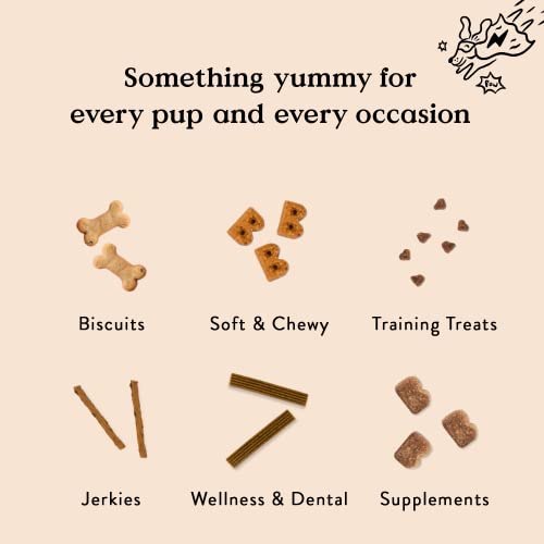 Bocce's Bakery Oven Baked PB & Banana Recipe Treats for Dogs, Wheat-Free Dog Treats, Made with Real Ingredients, Baked in The USA, All-Natural Peanut Butter & Banana Biscuits, 14 oz