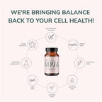 Nova Ultimate Cell Renewal/Spermidine Supplements, Organic Wheat Germ Anti Aging Supplement with High Spermidine, Zinc, and Thiamine for Optimal Autophagy, 60 Capsules (Pack of 1)
