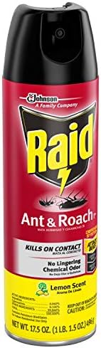 Raid Ant & Roach Killer Lemon Scent, 17.5 OZ (6)