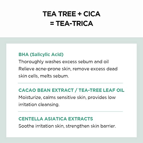 SKIN1004 Madagascar Centella Tea-Trica BHA Foam 4.22 fl.oz, 125ml, Professional Cleansing Care and Relief to Acne-Prone Skin