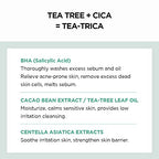SKIN1004 Madagascar Centella Tea-Trica BHA Foam 4.22 fl.oz, 125ml, Professional Cleansing Care and Relief to Acne-Prone Skin