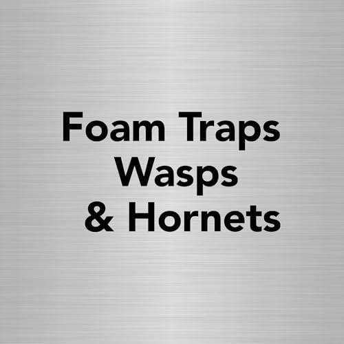 Raid Max Foaming Wasp & Hornet Killer, Fast Coverage Foam, Bug Killer Kills The Entire Nest, 16.5 oz