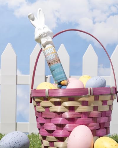 Vegan, Gluten Free Bunnies (2 Pack) Chocolate Candy Filled Easter Tubes | Dairy Free Chocolate Easter | Milk, Nut, Soy and Sesame Free by No Whey Foods