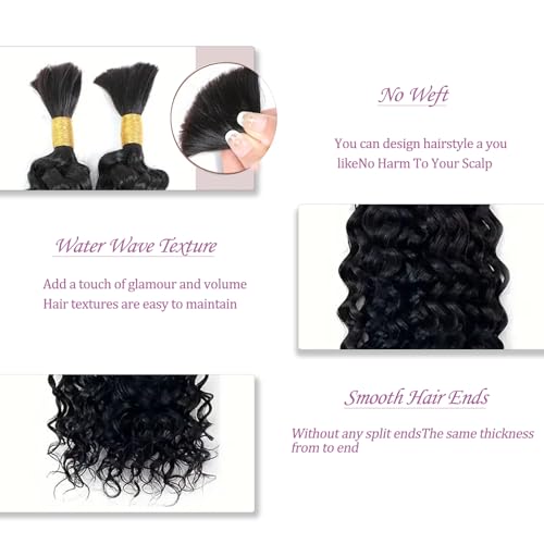 22 Inch Water Wave Bulk hair for Braiding 155g 2Bundle/Pack No Weft Water Wave Bulk hair for Braiding Micro synthetic Braiding Hair for Boho Braids Wet and Wave (,Natural Black #1B)